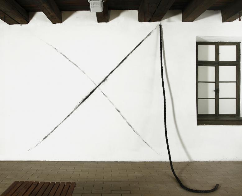 Exhibition view of Serena Amreins work "rad" from 2011