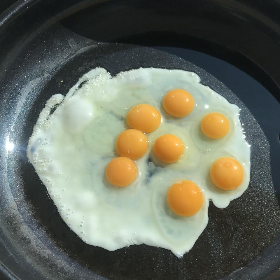 Kolumne Ungelegt Eier