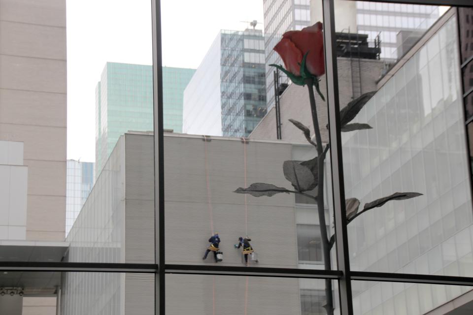 Rosen-Installation von Isa Genzken an der Fensterfassade des Museums of Modern Art in New York