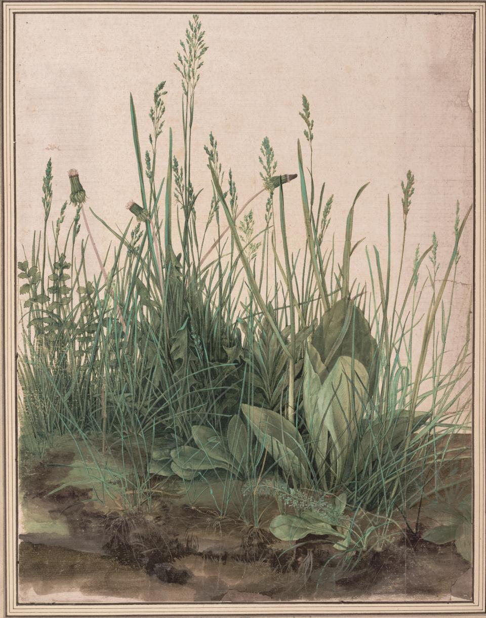 Albrecht Dürer "Das große Rasenstück", 1503