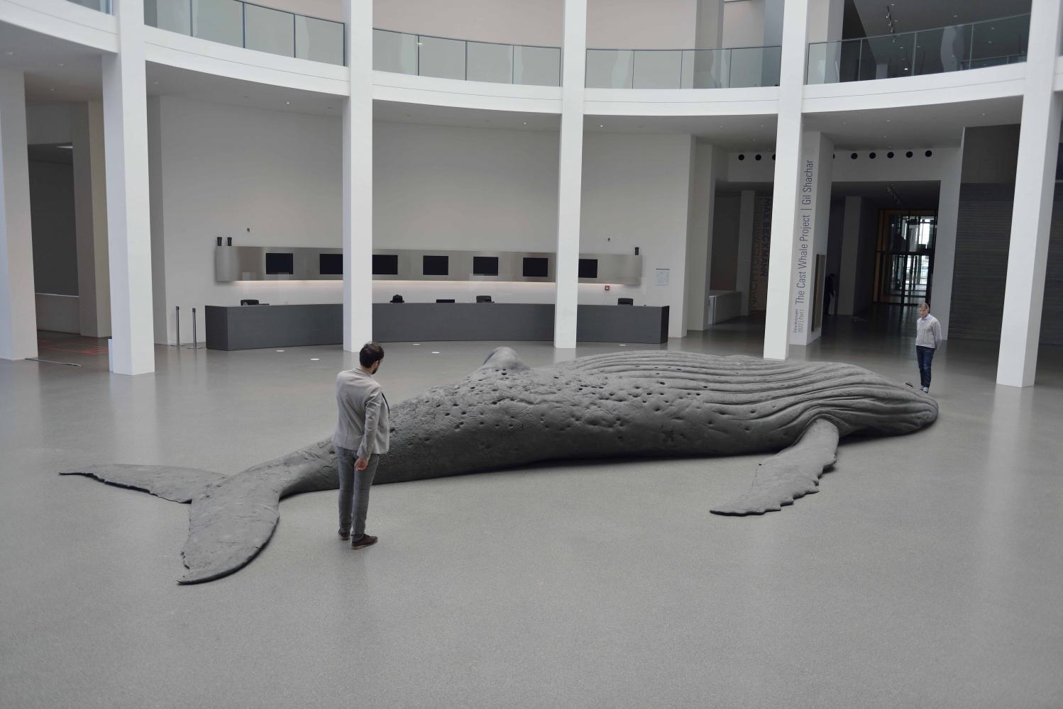 Gil Shachar "The Cast Whale Project", Pinakothek der Moderne, München